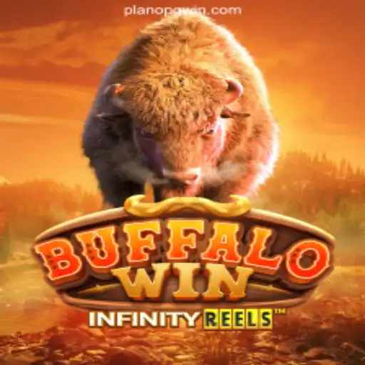 Exploring the Exciting World of BuffaloWin